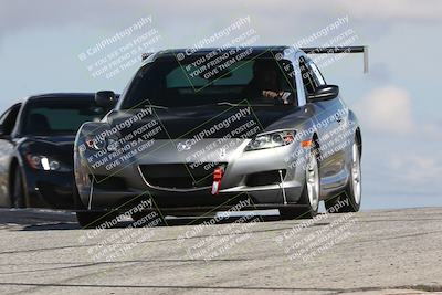 media/Mar-31-2024-Speed Ventures (Sun) [[a3b2bf813d]]/Purple/Session 2 (Grapevine)/